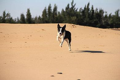 侦探文字冒险游戏《双盲把戏》Steam页面上线 发售日期待定